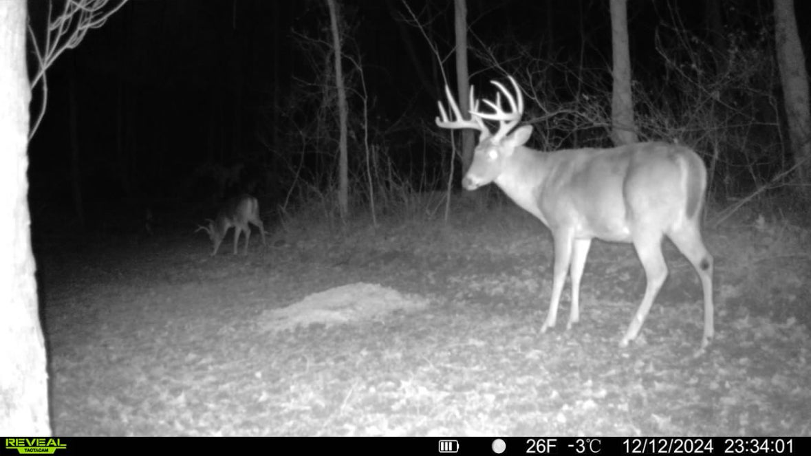 Stanleyville, Ohio (47 Acre)