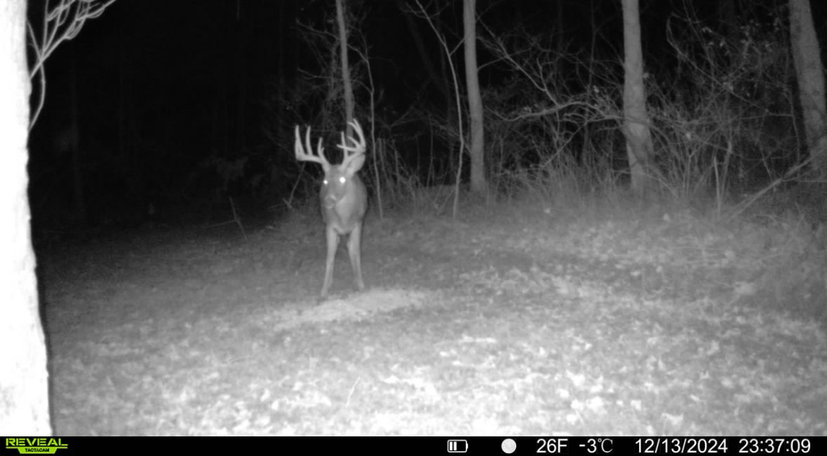Stanleyville, Ohio (47 Acre)