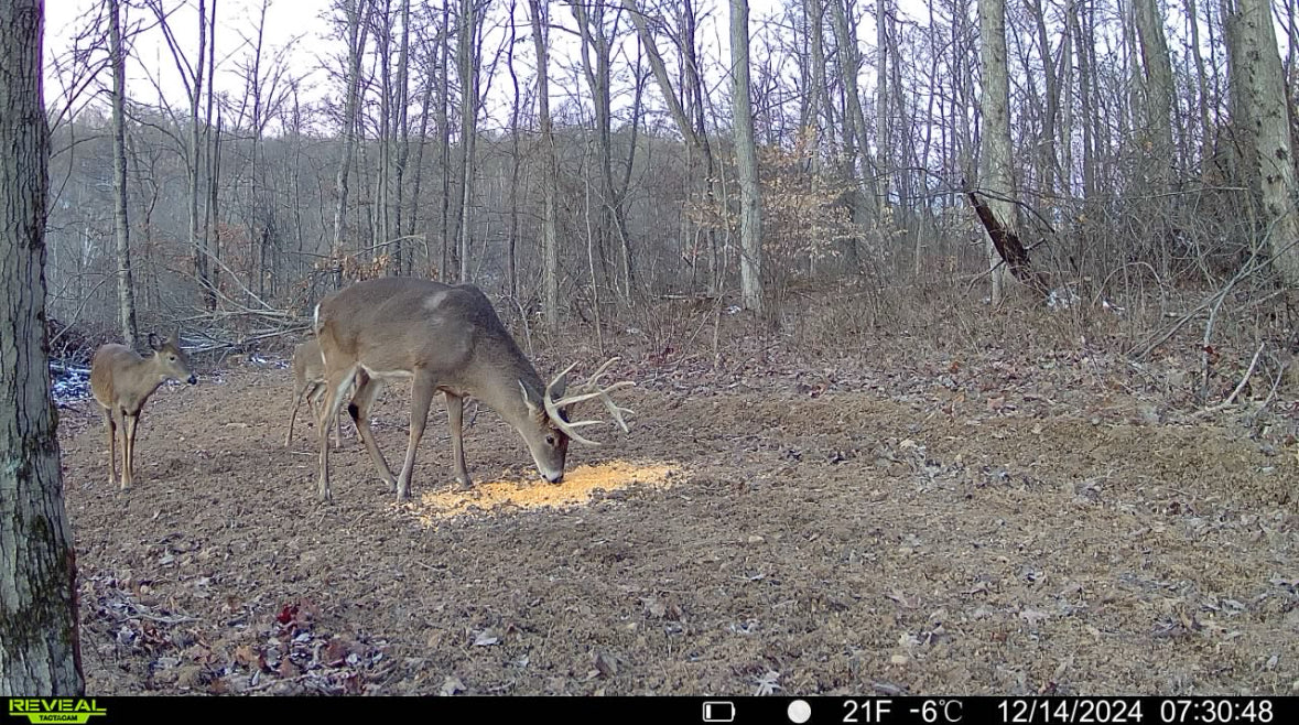 Stanleyville, Ohio (47 Acre)