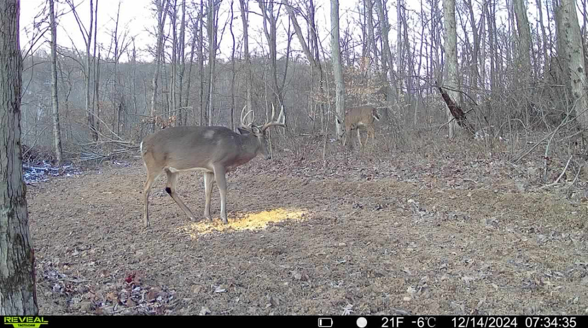 Stanleyville, Ohio (47 Acre)