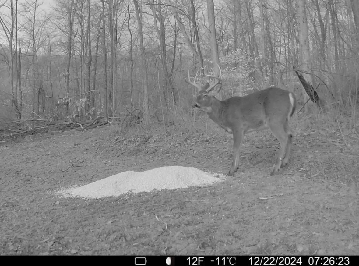 Stanleyville, Ohio (47 Acre)