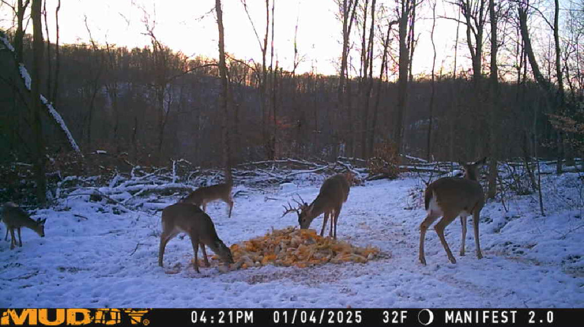 Stanleyville, Ohio (47 Acre)