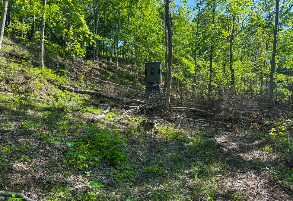 Stanleyville, Ohio (47 Acre)