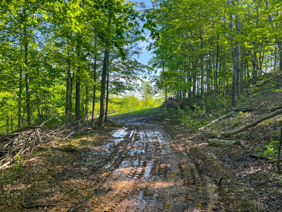 Stanleyville, Ohio (47 Acre)