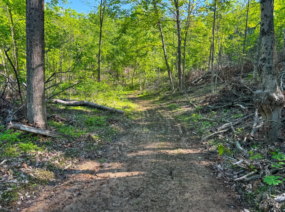 Stanleyville, Ohio (47 Acre)