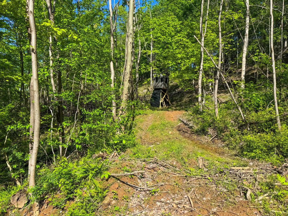 Stanleyville, Ohio (47 Acre)