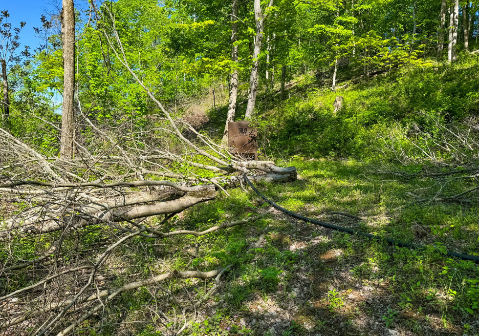 Stanleyville, Ohio (47 Acre)