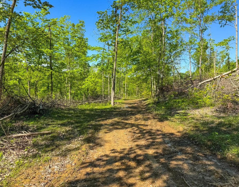 Stanleyville, Ohio (47 Acre)