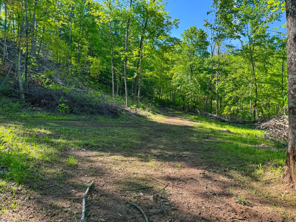 Stanleyville, Ohio (47 Acre)