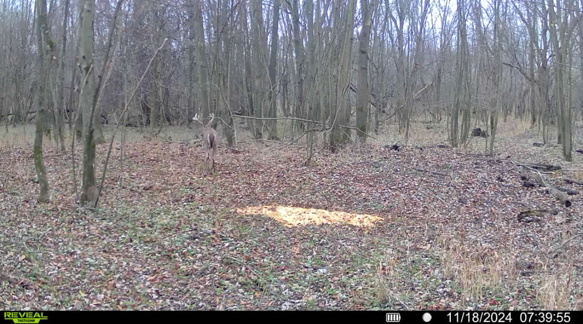 SOLD - Bandy River Bottom (45 Acre)