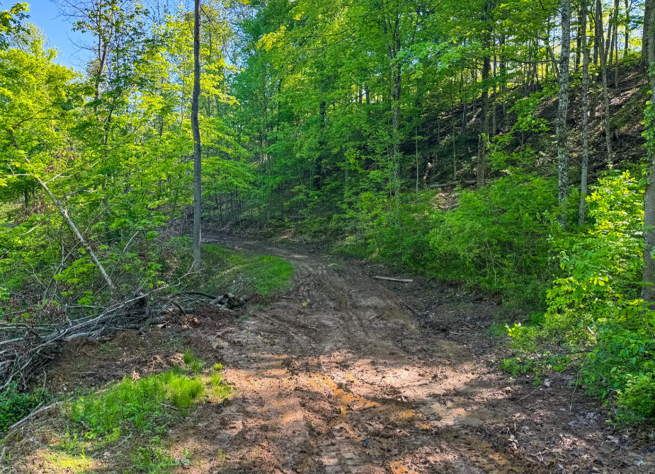 Stanleyville, Ohio (47 Acre)