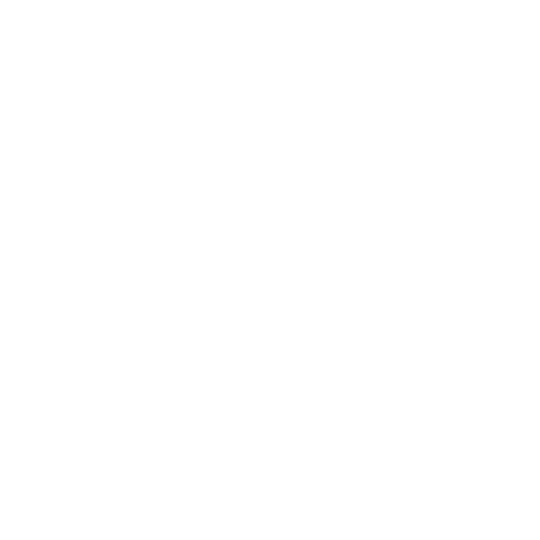 Boulder Vision 